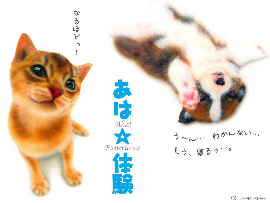 ENTER�i���̊G�͕ǎ��ɂ��g���܂��B�j