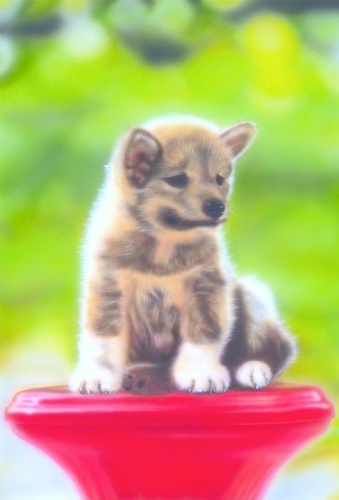 �q���̊G�FRed seat�i�Ԃ����|���j