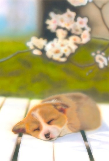 �q���̊G�F�R�[�M�[�^Corgi