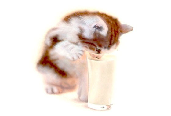 �q�L�̊G�Fmilk