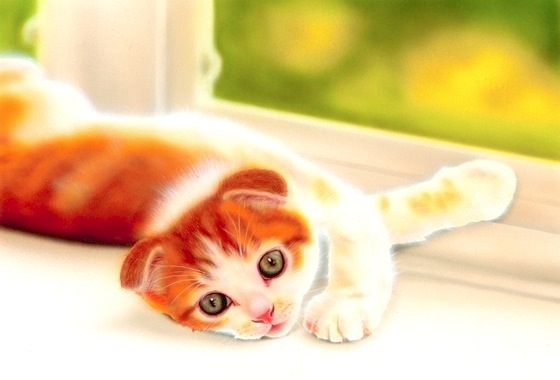 �q�L�̊G�F�X�R�e�B�b�V���t�H�[���h�^Scottish Fold