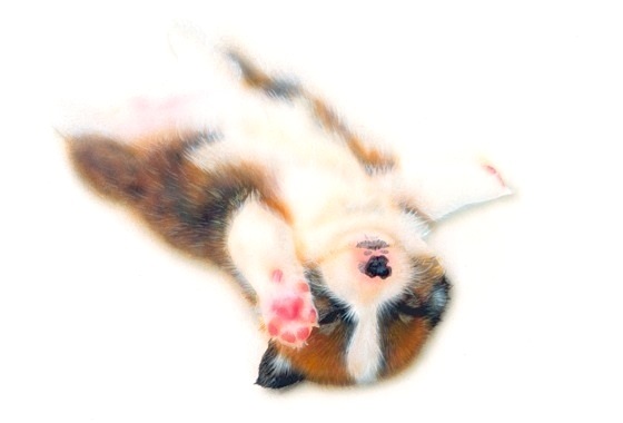 �q���̊G�F�����ނ��R�[�M�[�^Corgi-3