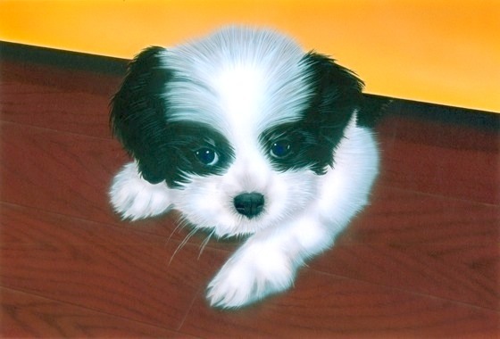 �q���̊G�F�u���C�H�v�|���b�V�����[�����h�V�[�v�h�b�O�i�V�F���[�j