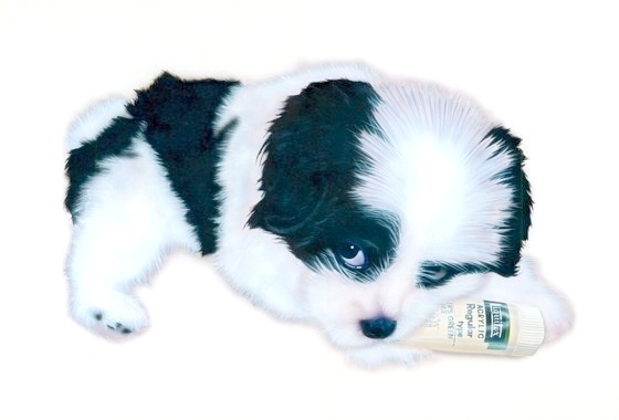 �q���̊G�F�V�F���[�̊ώ@���L 5/31 �u���̂��܂݂�B�v