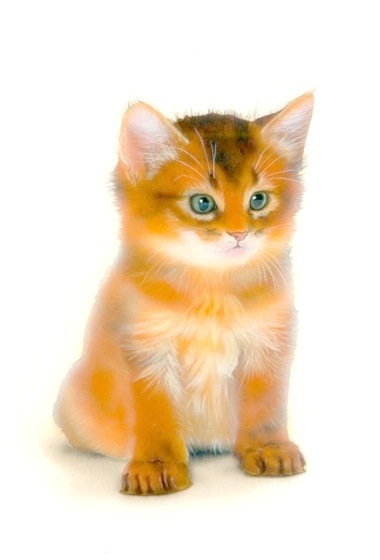 �q�L�̊G�F�\�}���^Somali