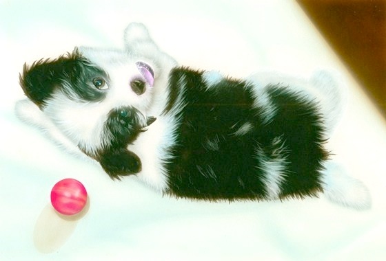 �q���̊G�F�V�F���[ (with superball�j