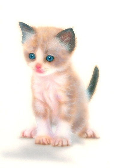 �q�L�̊G�F���O�h�[���^Ragdoll