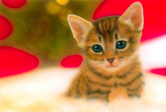 �q�L�̊G�F�uMerry Xmas 2001�v -Bengal-