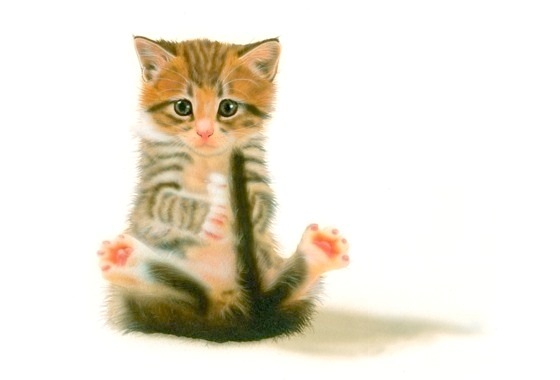 �q�L�̊G�F�u�����ۂɂ��ɂ��v