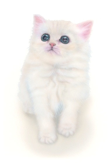 �q�L�̊G�F�`���`���V���o�[�^Chinchilla Silver