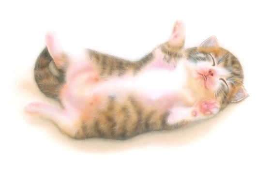 �q�L�̊G�F�u�ނɂ�ނɂ�E�E�E�v