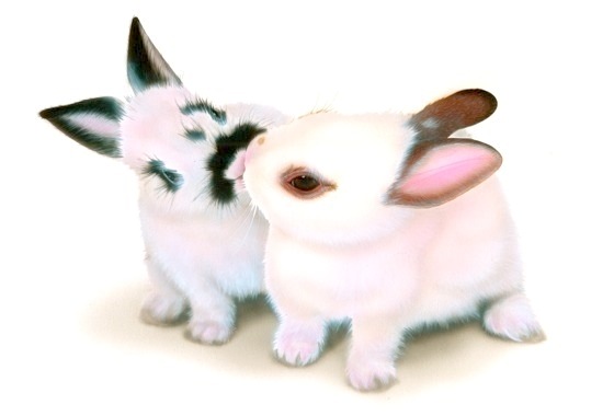 �������̊G�F�uMie �� Pooh�v