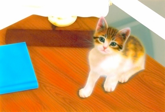 �q�L�̊G�F���̏�̂ɂ��