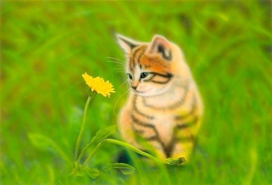 �q�L�̊G�F�t�̂ɂ�� �`�˂��ƃ^���|�|�`