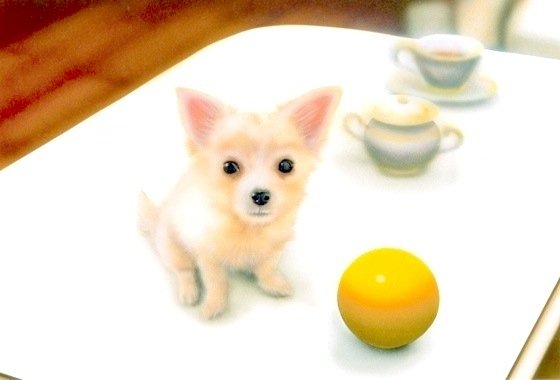 �q���̊G�F���̏�̂��