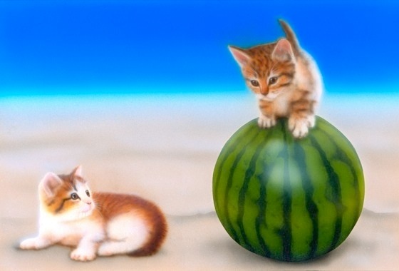 �q�L�̊G�F�ɂ��� �т�����!!