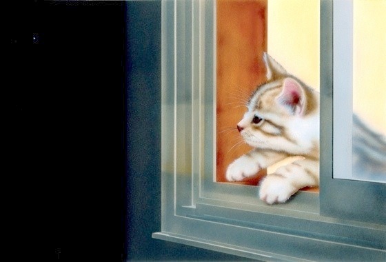 �q�L�̊G�F���c�u���Ɋ肢���c�vI wish to a star