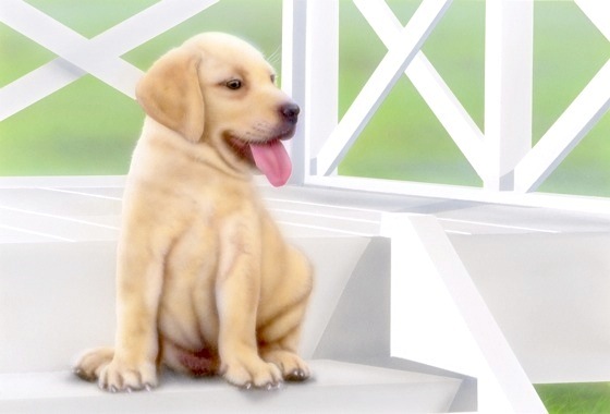 �q���̊G�F���u���h�[�����g���[�o�[