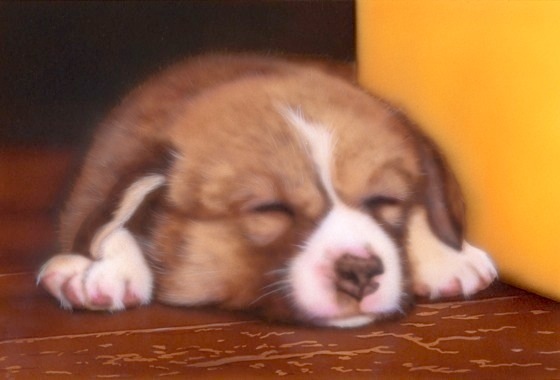 �q���̊G�F�n���R�[�M�[