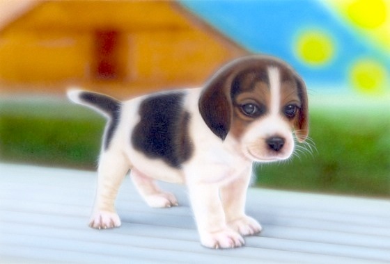 �q���̊G�F���U���r�[�O�� -remake-