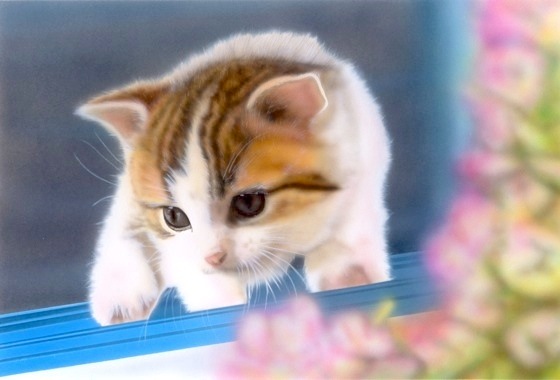 �q�L�̊G�F�u�͂��߂Ă̊O�o�v�i�}���`�J��1�j