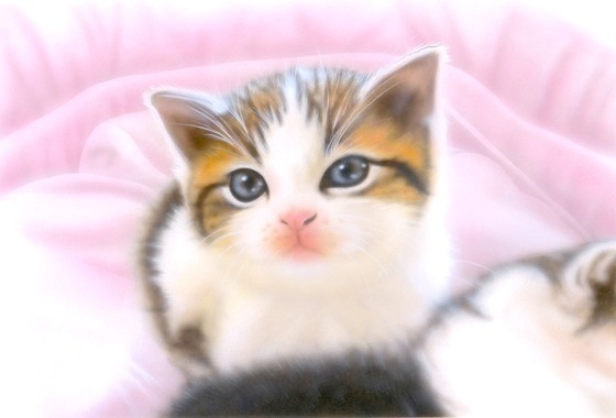 �q�L�̊G�F�u�O�o�O�v�i�}���`�J��2�j