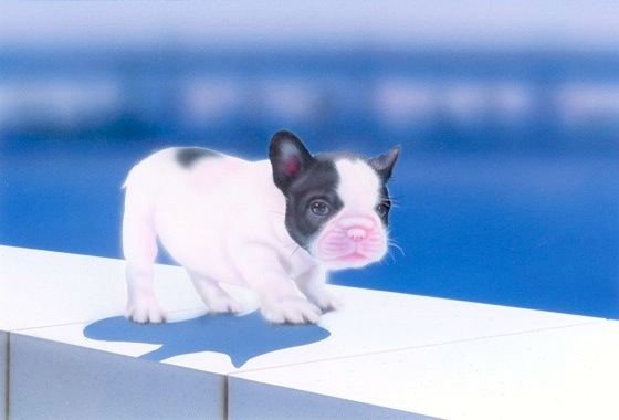 �q���̊G�F�t���u�� -French Bulldog-