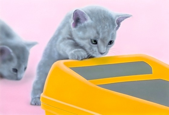 �q�L�̊G�FRussian Blue