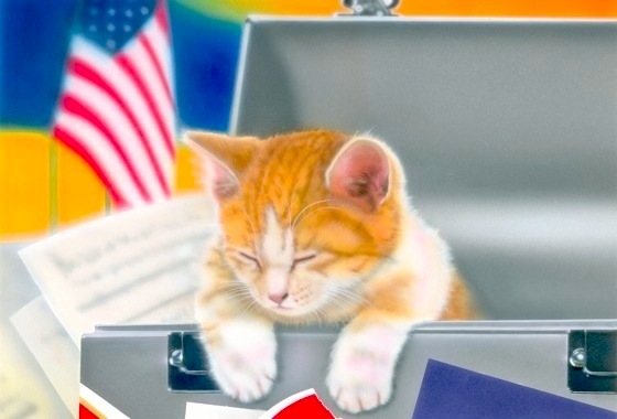 �q�L�̊G�FStars and Stripes