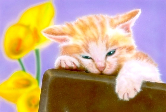 �q�L�̊G�FI Love Chocolate !!�i�`���R��D���I�j