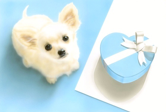 �q���̊G�FMarshmallow Heart