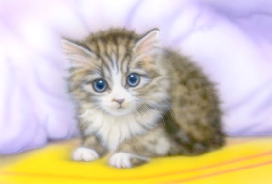 �q�L�̊G�F�������q�B�e��^�v�[�l