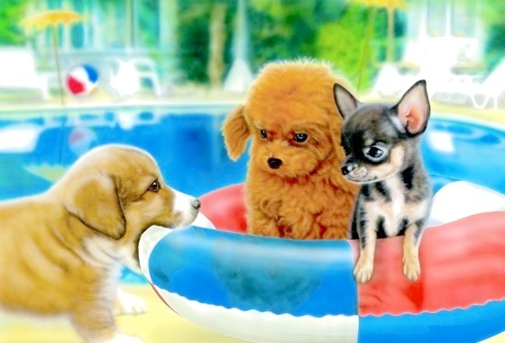 �q���̊G�FHappy Horiday