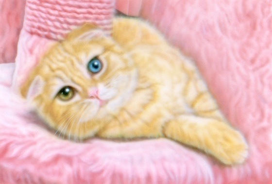 �q�L�̊G�FB.K.S.N:�X�R�e�B�b�V���E�I�b�h�A�C