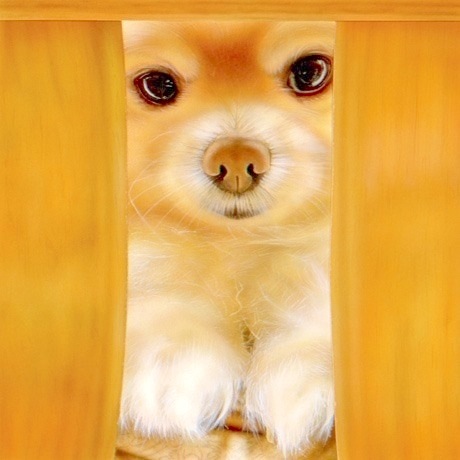 �q���̊G�Fmadopo:nala�i�Ȃ�ہj