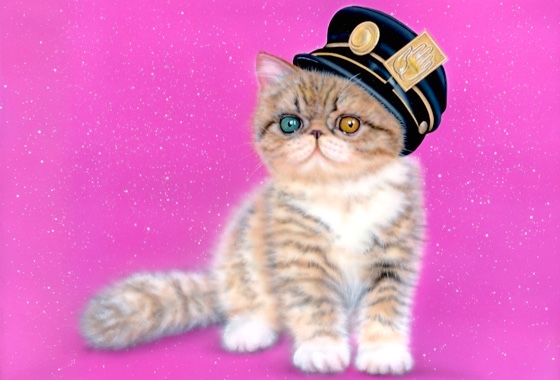 �q�L�̊G�^�G�b�^�w���`�b�N�V���[�g�w�A