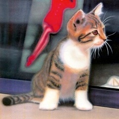 �q�L�̊G�F�˂��ƃn�C�q�[��