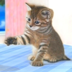 �q�L�̊G�F�˂��ƕ��