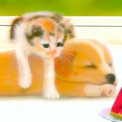 �q�L�̊G�F�u�����������vDog & Cat -2001 summer-