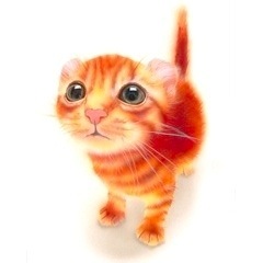 �q�L�̊G�F�u���C�H�v�A�����J���J�[���^American Curl