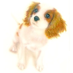 �q���̊G�F�L���o���A �L���O �`���[���Y �X�p�j�G��