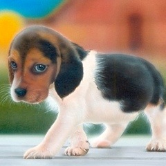 �q���̊G�F�r�[�O��