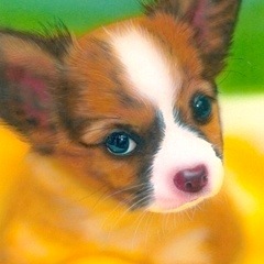 �q���̊G�F�p�s����