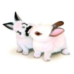 �q�������̊G�F�uMie �� Pooh�v