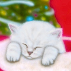 �q�L�̊G�FMerry Christmas -2002- (Chinchilla Silver)