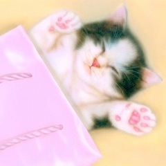 �q�L�̊G�F�˂Ԃ���