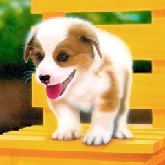 �q���̊G�Fyellow chair