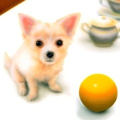 �q���̊G�F���̏�̂��