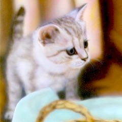 �q�L�̊G�F�uYOU�v-2003-