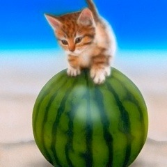 �q�L�̊G�F�ɂ��� �т�����!!